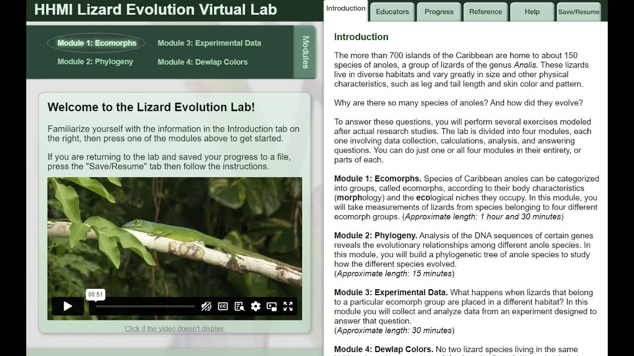 Virtual Lab Lizard Evolution Virtual Lab Answers: Unraveling the Mysteries of Evolution