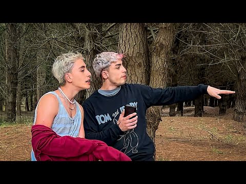 CHARLANDO EN UN BOSQUE