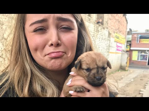 Encontré un perrito abandonado y Cumpleaños de mi papá - Maqui015 ♥