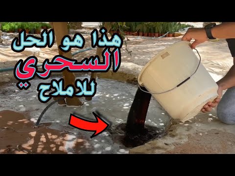 هل فعلاً الهيوميك اسيد مادة سحرية للنبات ؟ || افضل مادة لتقليل الاملاح