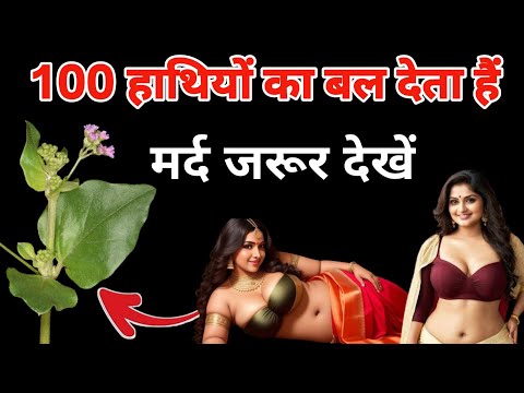 इस में हैं 100 हाथियों का बल देता हैं | Plant Benifit | Vastu sashtra | Vastu tips | Ayurveda