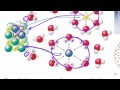 Solubility Concepts and Interactions