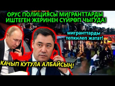 Мигранттарды ТЕПКИЛЕП катуу РЕЙД башталды😱 Депутат бандит экен корсо...