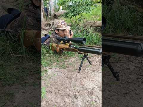 Shot terkukur #sorts #hunting #berburuterkukur #berburu #sniper #terkukurkampung #airsoft