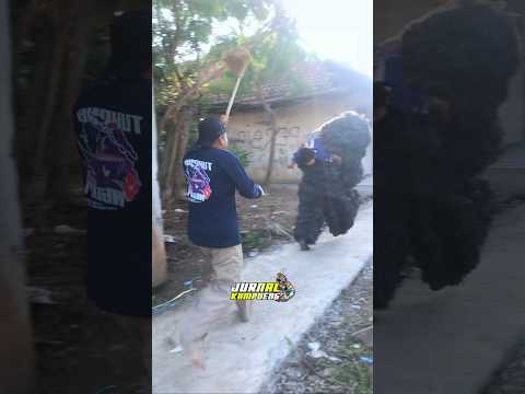 BOCIL FF ketangkap GRANDONG depan Rumah BAPAKNYA NGAMUK bawa sapu ‼️Funny prank grandong