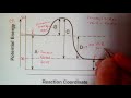 Potential Energy Diagrams and Reactions