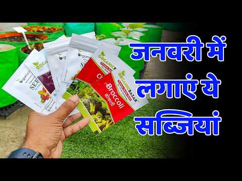 जनवरी 2025 में कौन सी सब्ज़ी लगाएँ? January Me Konsi Sabji Lagaye Home Garden Me | Home Gardening