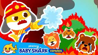 ¡Ayuda, Hay un Incendio Forestal!🔥🌳 | Escuadrón de Bomberos de Tiburón Bebé🚒 | Baby Shark en español
