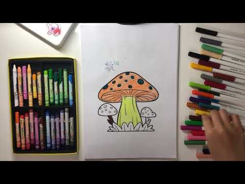 Color the picture of mushrooms