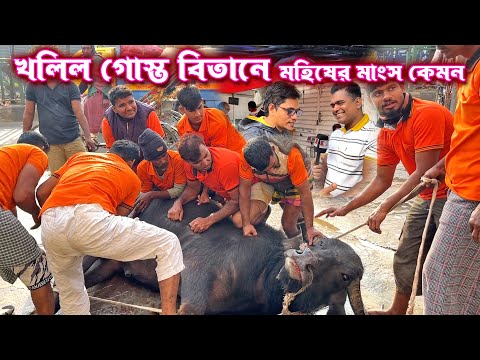 ১০ জন লাগলো বিশাল এই মহিষ ফেলতে | খলিল গোস্ত বিতানে মহিষের মাংসের বিক্রি ভালো ক্রেতাদের চাহিদাও বেশি