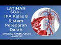 Human Circulatory System Concepts