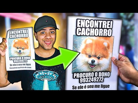FINGI ENCONTRAR CACHORRO DE 10 MIL REIAS PRA VER QUANTOS MENTIROSOS LIGAM!!!