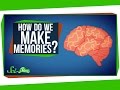 Understanding Memory and the Brain