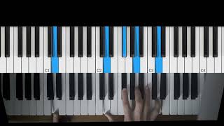 Josh Tillman and the Accidental Dose (Father John Misty): Beginner Piano Tutorial