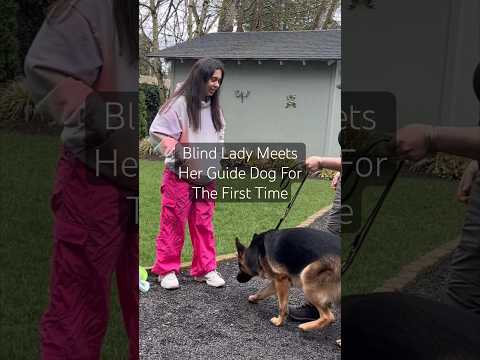 The Day I met My Guide Dog (Original Audio) #GuideDog #ServiceDog #Blind #LowVision #DogDay 
