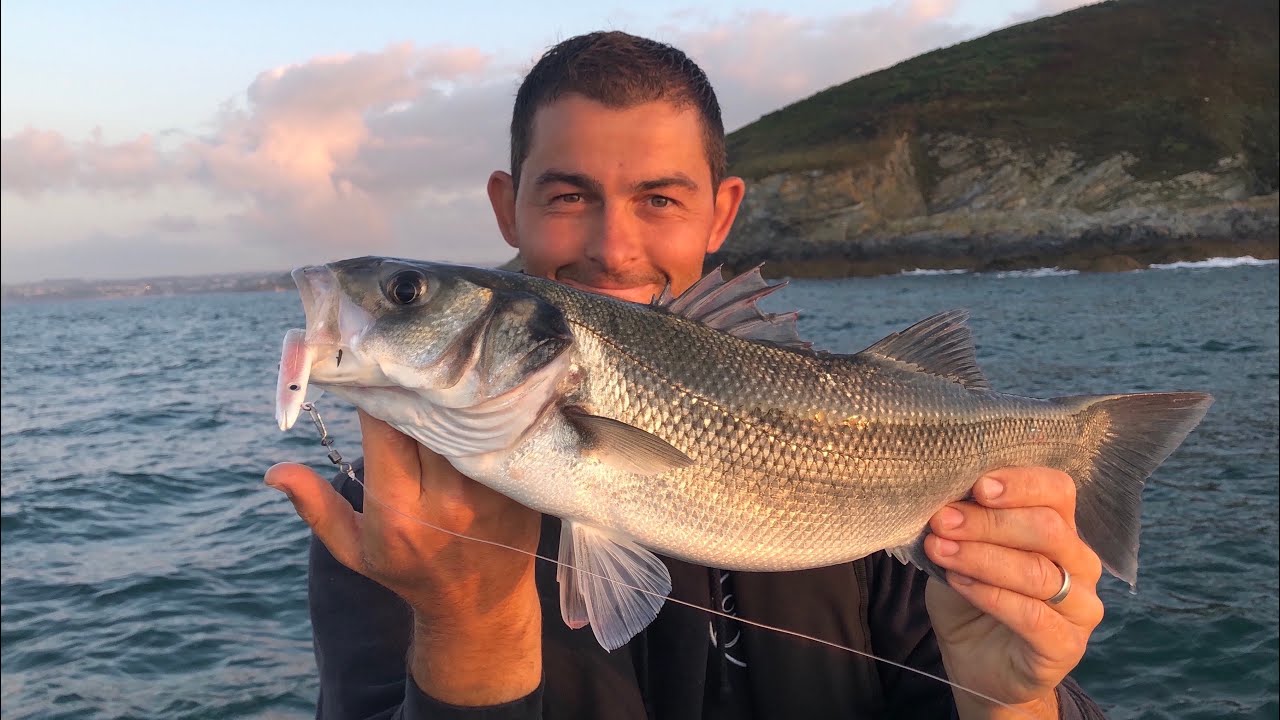 Bass Fishing - Lure Fishing For Bass - Bass Fishing UK - The Fish Locker