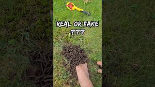 Haters, Real or Fake?