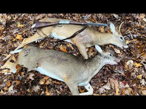 DEER SKIN RUG - Tanning a Whitetail Hide - FUR ON