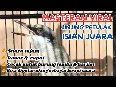 MASTERAN VIRAL JINJING PETULAK ISIAN JUARA