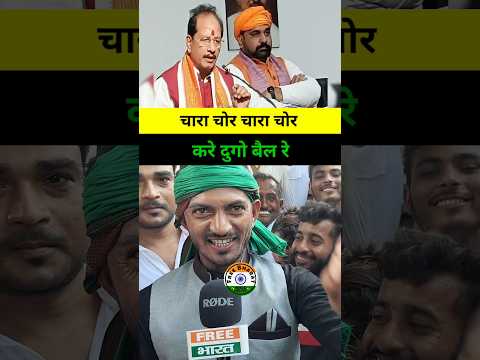 चारा चोर चारा चोर करे दुगो बैल रे #viralvideo #viralnews #viralsongs