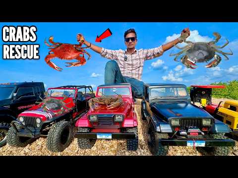 RC New Thar 3 Door 2025 Mud Crabs Rescue Mission - Chatpat toy TV