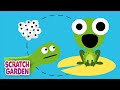 Life Cycles of Animals and Plants