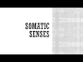 Understanding Sensory Perception and Responses
