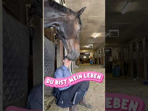 Wie lang reitet ihr schon?💗 #pferdevideo #pferde #reiten #cotico #shorts #pferdevlog #pferdetrend
