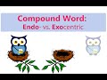 Understanding Endocentric and Exocentric Compounds