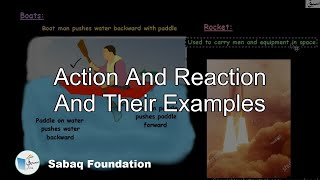 Action And Reaction And Their Examples