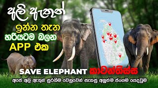 කාවන්තිස්ස – The Heart & Soul of Galgamuwa  Save Our Elephants