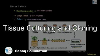 Tissue Culturing and Cloning
