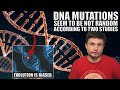 Mutation Bias in Evolutionary Studies