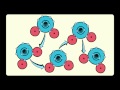 Properties and Behavior of Water