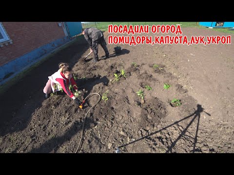 ПОСАДИЛИ ОГОРОД В ДЕРЕВНЕ РАССАДУ / ПОЖАРИЛИ ШАШЛЫК / ПЛОВ КАЗАНЕ / РЫБАЛКА НА КАРАСЯ / АНДРЕЙ УЕХАЛ