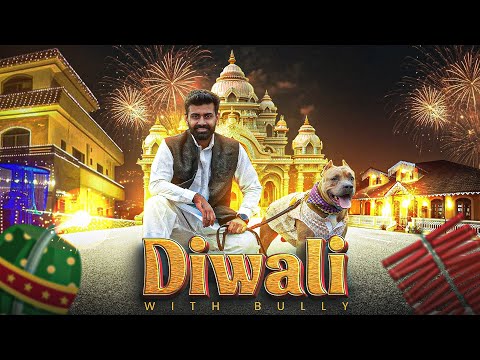 Kya Bully ko apna Diwali Surprise pasand aayga? 😲🐾 Lets go Diwali shopping together !