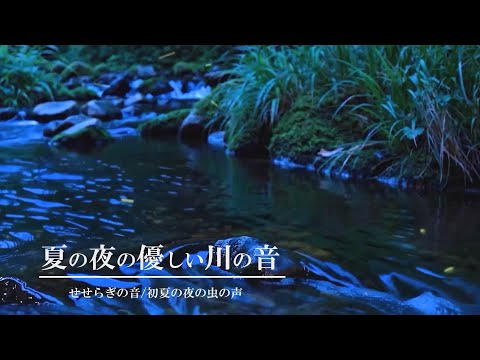[環境音/ASMR]夏の夜の優しい川の音/8時間/せせらぎの音/初夏の虫の声/@SoundForest-main