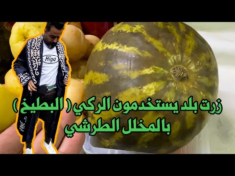 هذا البلد يستخدمون الرگي ( البطيخ ) في الطرشي ( المخلل )