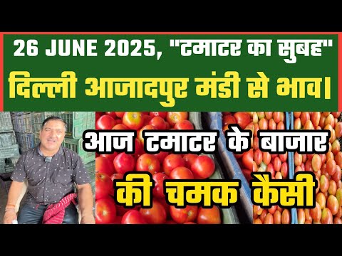 26-06-2025 Azadpur Mandi से टमाटर का थोक भाव #tomatopricetoday #delhimanditoday #dmttv