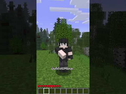 ในยุคที่มีแต่หัวใจไม่มีหลอดอาหารใช้ชีวิตกันยังไง  #merrust #minecraft #พี่หมื่นรัก
