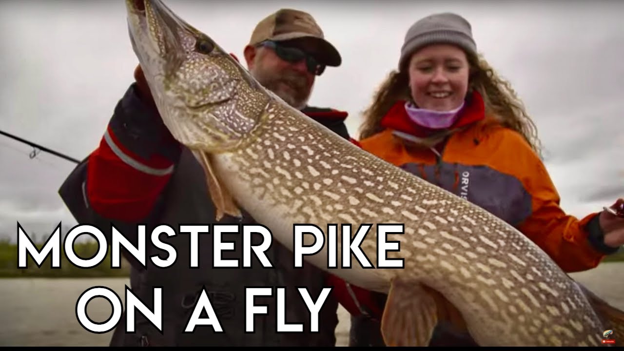 Leviathan Pike of Northern Saskatchewan - The New Fly Fisher