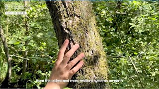 UGBS | De Regeneratieve Leider | Vertraag. Verdiep. Verbind. | Tweedaags programma in de natuur