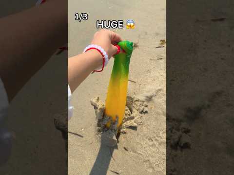 I Found Random SQUISHIES on the BEACH! 😱🤨🏖️