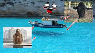 Photos You Won’t Believe Aren’t Photoshopped!