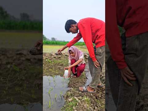 farming reel๐ฅฅ๐ #song #farming #khetibadi #dailyshorts #virulshorts