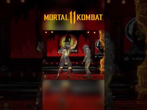 Mortal Kombat 11 - All Stage Fatalities (4K 60FPS)
