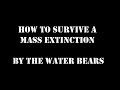 Mass Extinctions and Survival Strategies