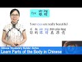 Mandarin Vocabulary and Sentence Structure