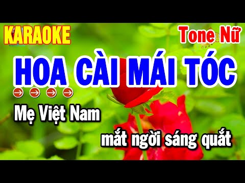 Karaoke Hoa Cài Mái Tóc Tone Nữ Nhạc Sống Cha Cha Đỉnh Nhất 2025 | Thanh Hải