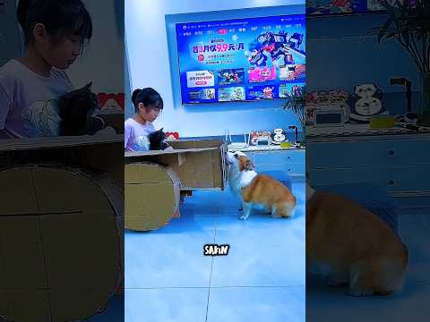 Teyzeyi ve Kediyi Traktörle Götürdüm 🚜🐈😂 #shorts #eğlencelivideolar